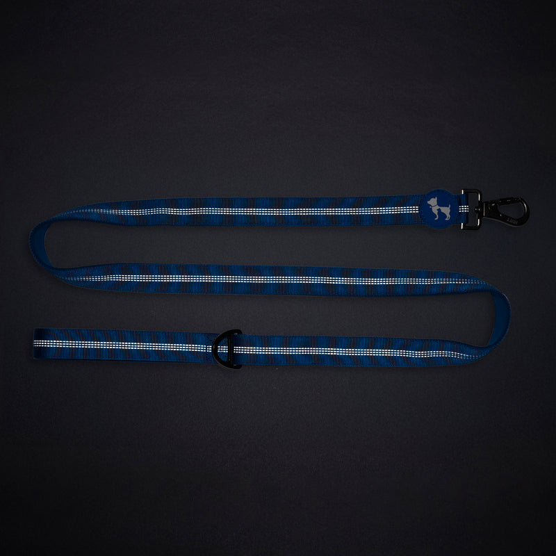 HUFT Comfort Plus Leash For Dog - Blue - Heads Up For Tails