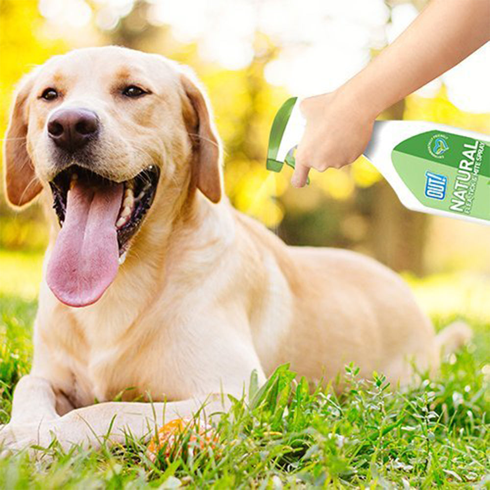 Bramton OUT! Natural Flea & Tick Spray - 500 ml_05