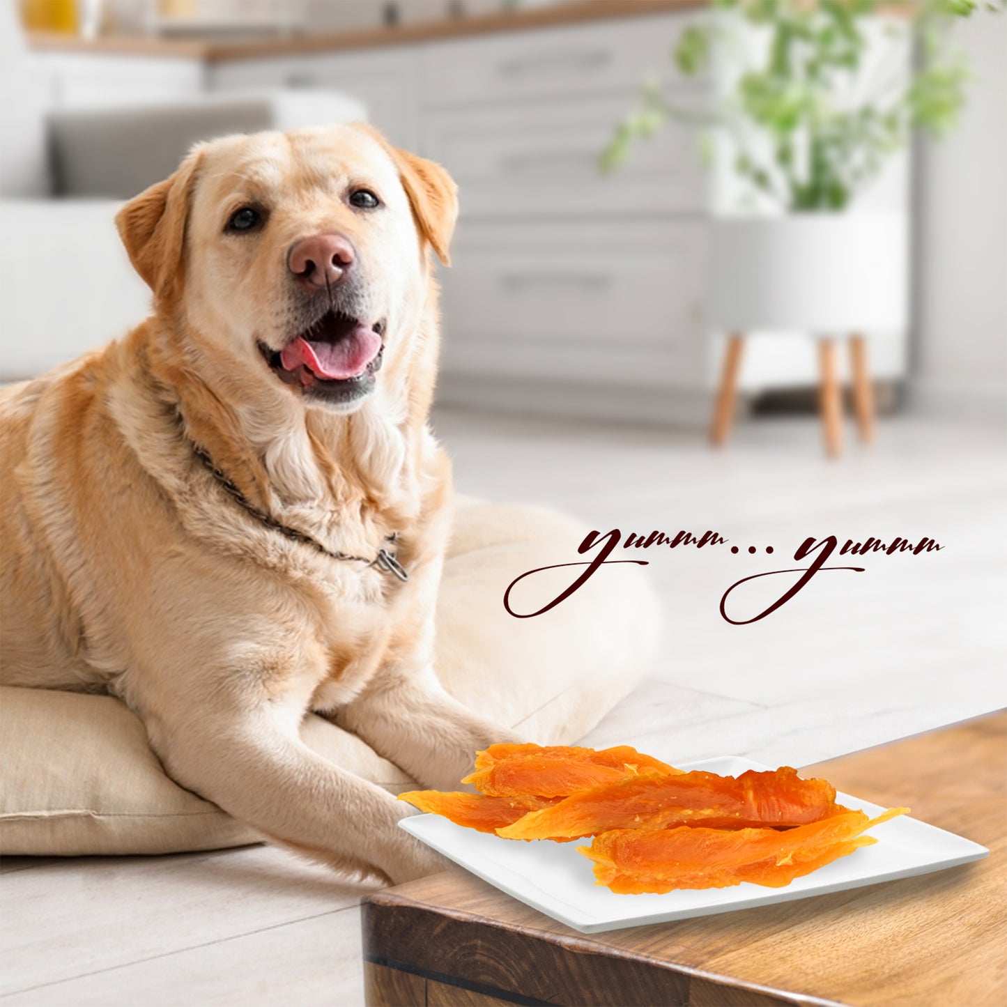 Chip Chops Dog Treats - Sun Dried Chicken Jerky - 70 g - Heads Up For Tails
