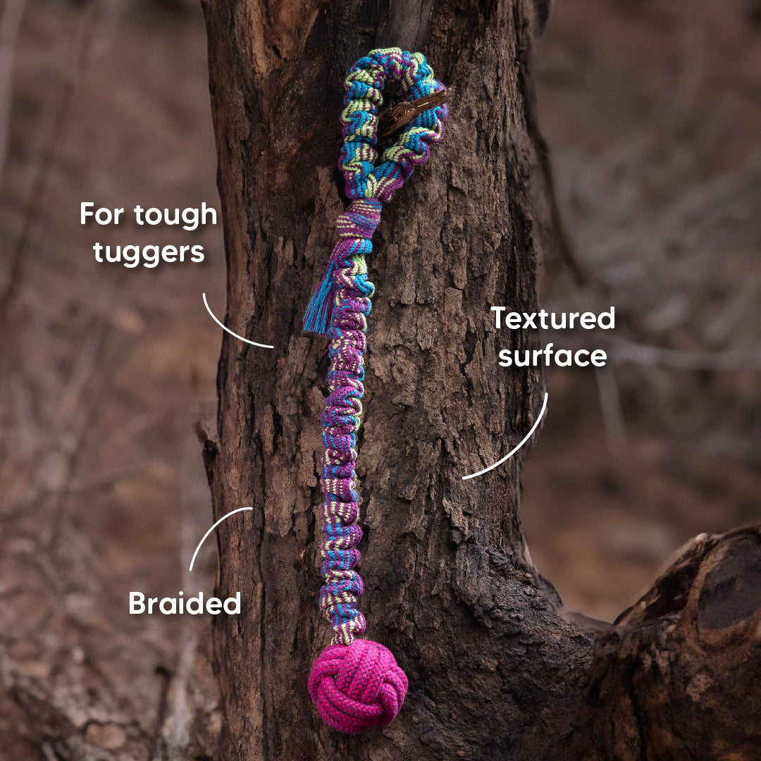 Dash Dog Catch-Me-Knot Bungee Rope Toy For Dog - Purple - Heads Up For Tails