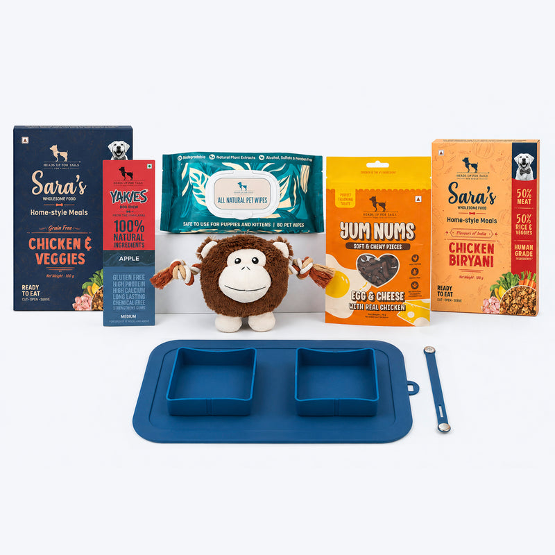 HUFT On-the-Go Essentials For Dogs