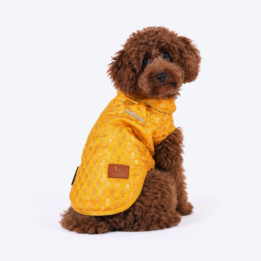 HUFT Regal Bloom Sherwani For Dog - Yellow