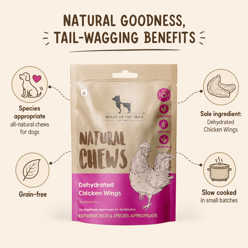 Sara's Everyday Goodness Box For Dogs