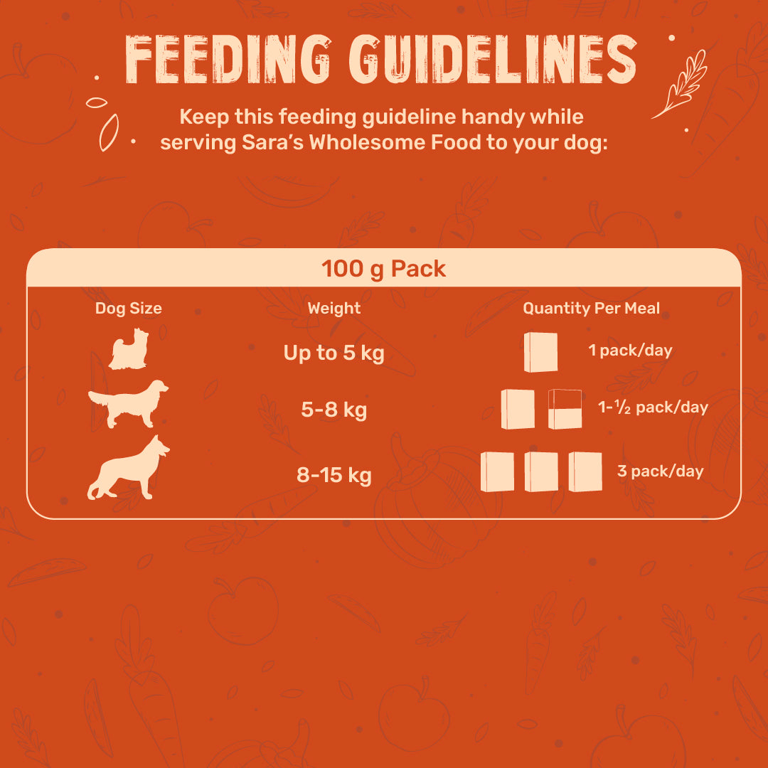 Sara's Wholesome Everyday Meals Combo For Dog - Pack of 3 (100 gm each) - Heads Up For Tails