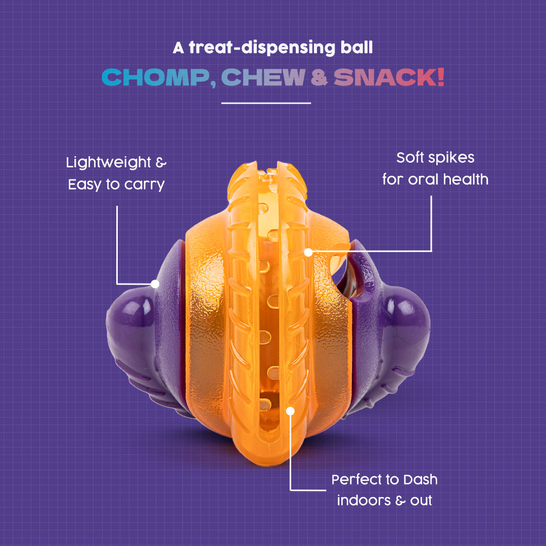 Dash Dog Chomping Champ Ball Toy For Dog - Orange & Purple