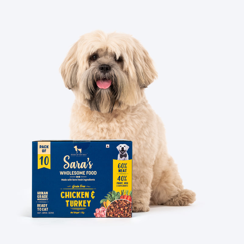 Sara's Wholesome Grain-Free Chicken and Turkey Dog Food, pack of 10 x 100g, made with human-grade ingredients.