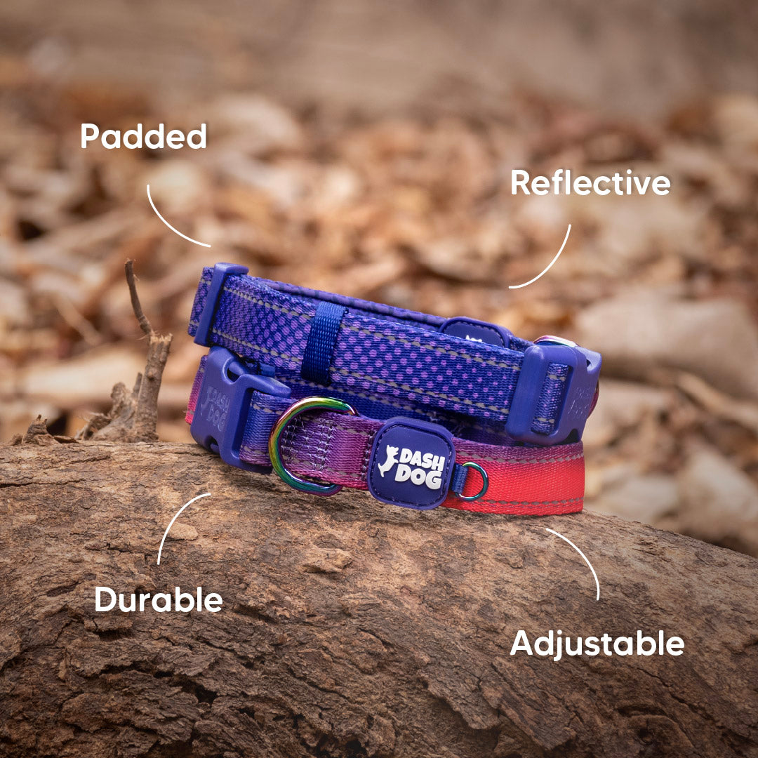 Dash Dog Flow Padded Collar For Dog - Red & Purple - Heads Up For Tails