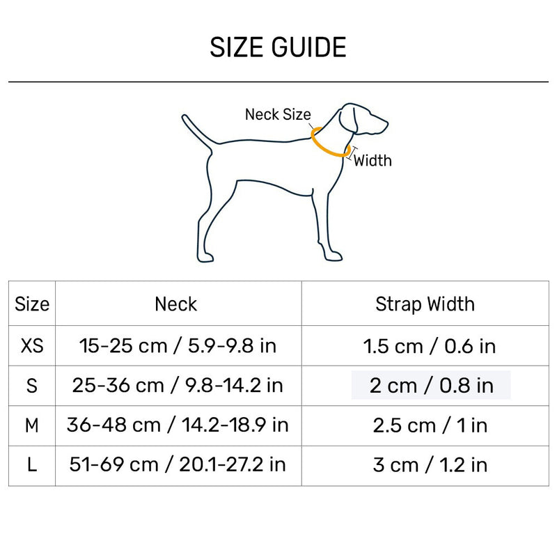 HUFT Dino Land Collar For Dog - Blue
