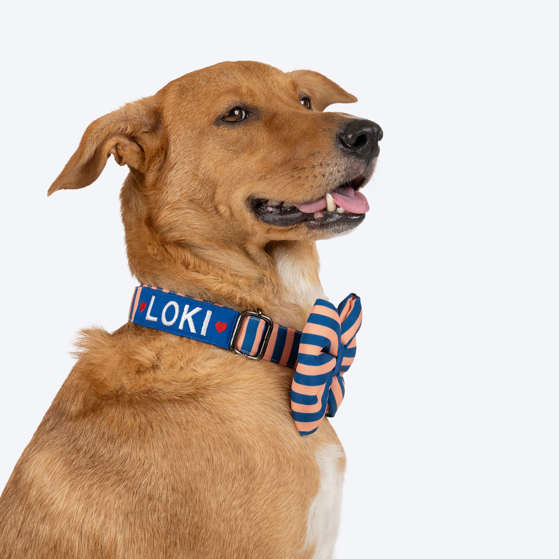 HUFT Personalised Happy Stripes Collar With Bow Tie For Dog - Navy & Peach - Heads Up For Tails