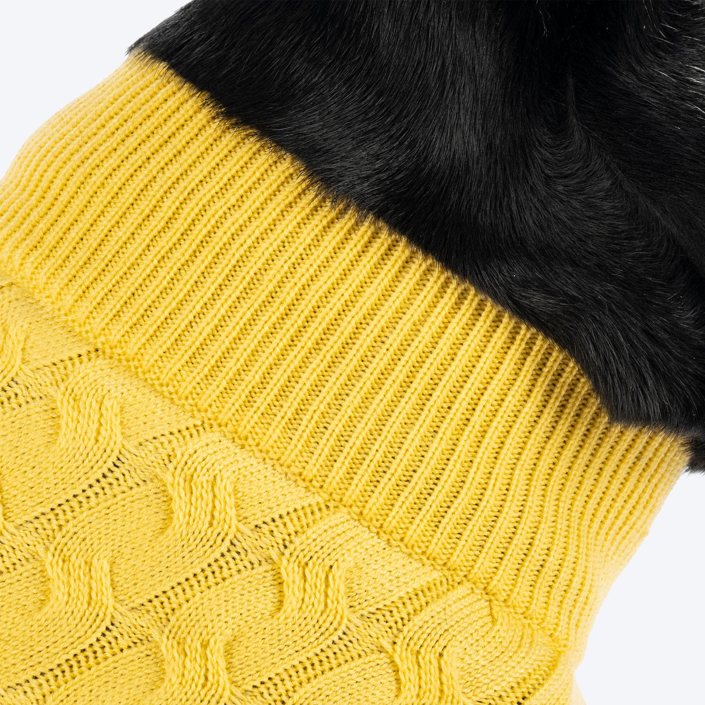 TLC Sunny Days Sweater For Dog - Yellow - Heads Up For Tails