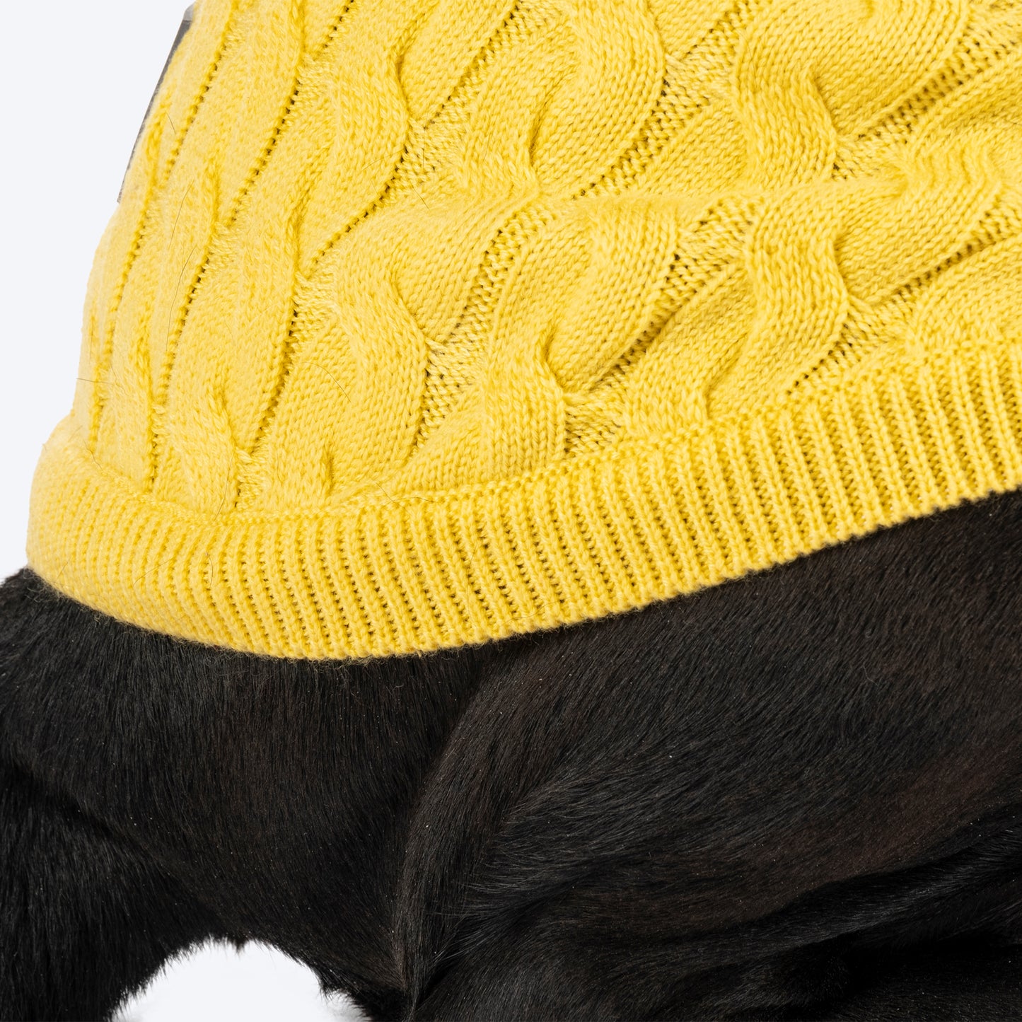 TLC Sunny Days Sweater For Dog - Yellow - Heads Up For Tails