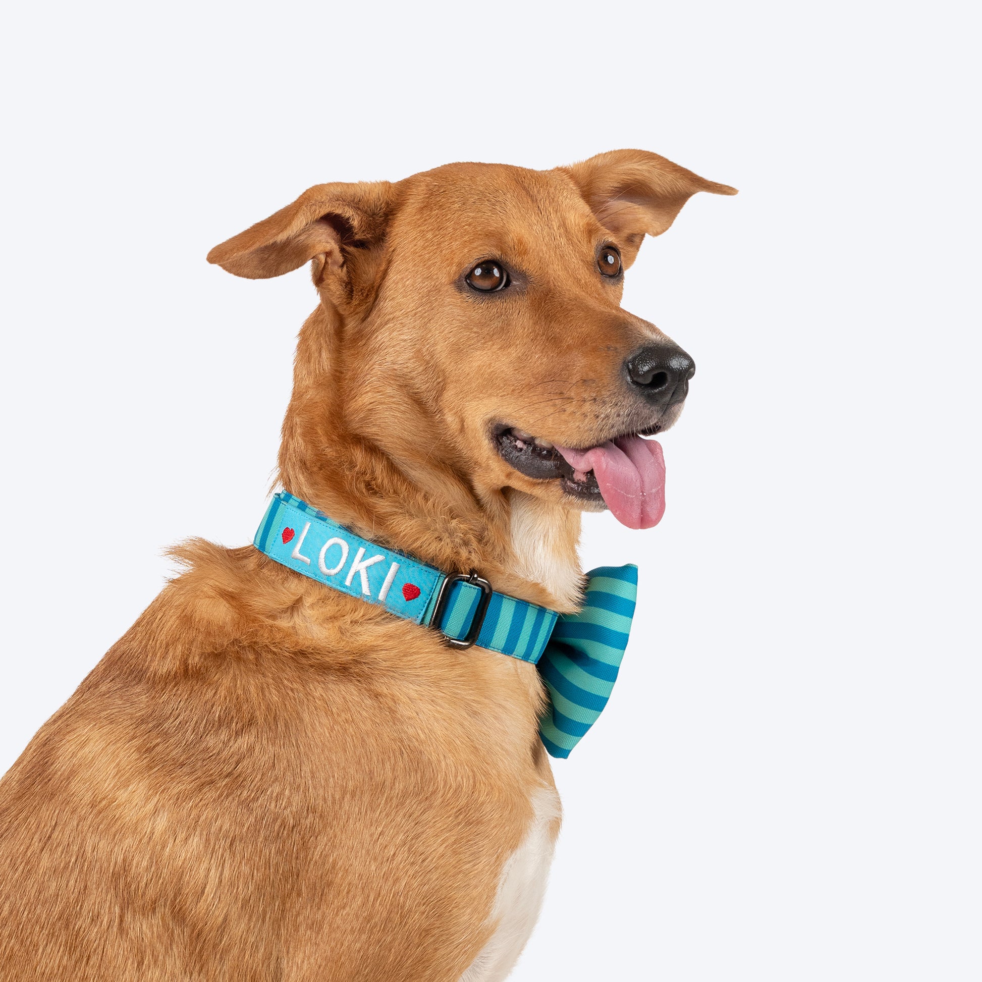 HUFT Personalised Happy Stripes Collar With Bow Tie For Dog - Blue & Turquoise - Heads Up For Tails