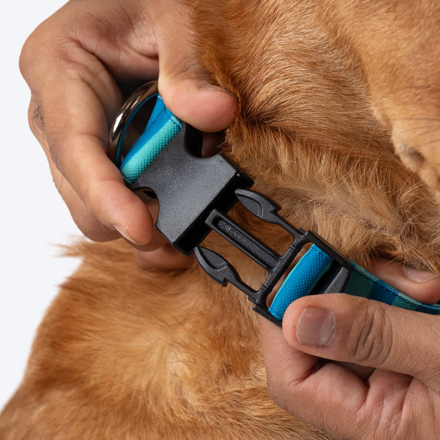 HUFT Personalised Happy Stripes Collar With Bow Tie For Dog - Blue & Turquoise - Heads Up For Tails