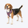 HUFT Playstripes Adjustable Harness For Dog - Rust & Navy