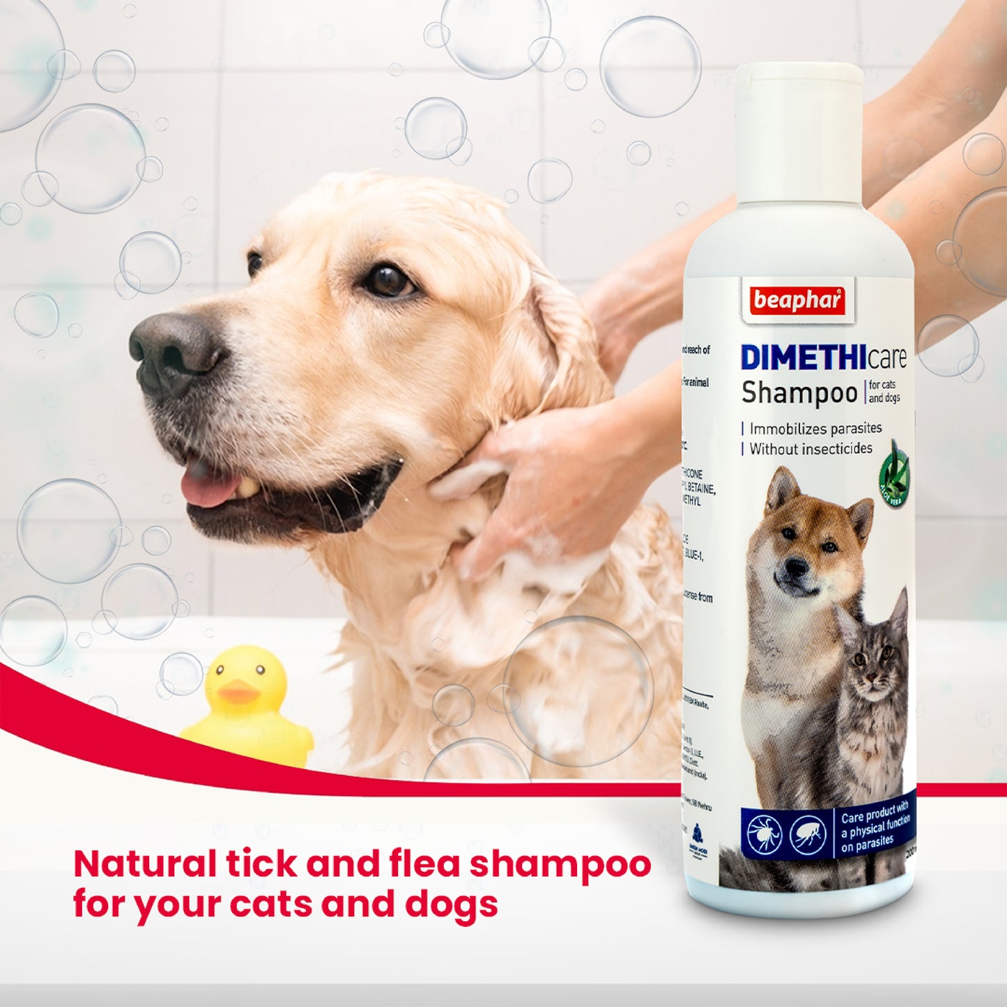 Beaphar Dimethicare Tick & Flea Shampoo For Dog & Cat - Aloe Vera - 200 ml - Heads Up For Tails