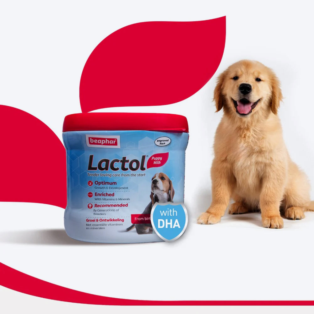 Beaphar Lactol Milk Replacement Powder Dry Food For New Born Puppy - Heads Up For Tails