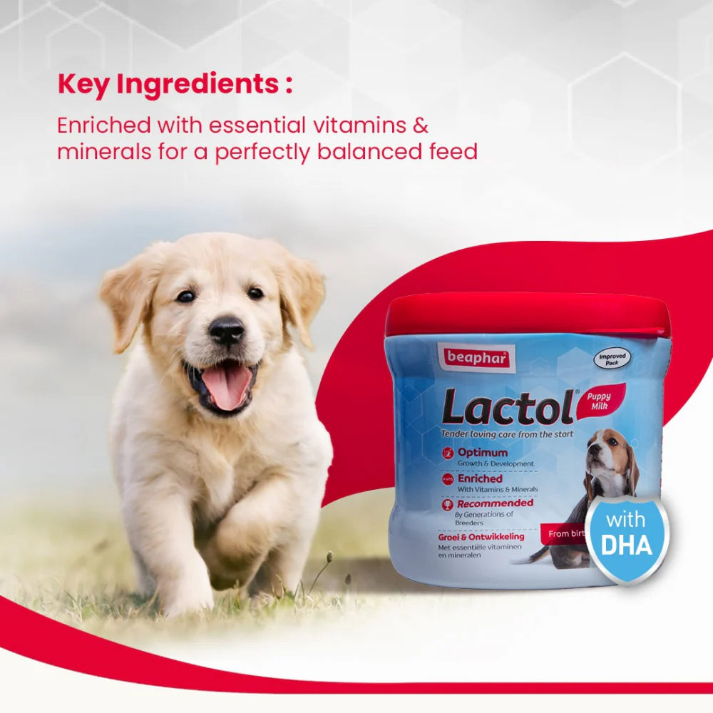 Beaphar Lactol Milk Replacement Powder Dry Food For New Born Puppy - Heads Up For Tails