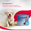 Beaphar Lactol Milk Replacement Powder Dry Food For New Born Puppy - Heads Up For Tails