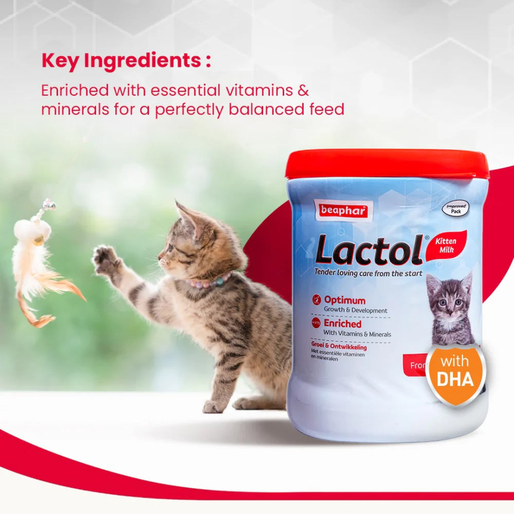 Beaphar Lactol Milk Replacement Powder Dry Food For New Born Kitten - Heads Up For Tails