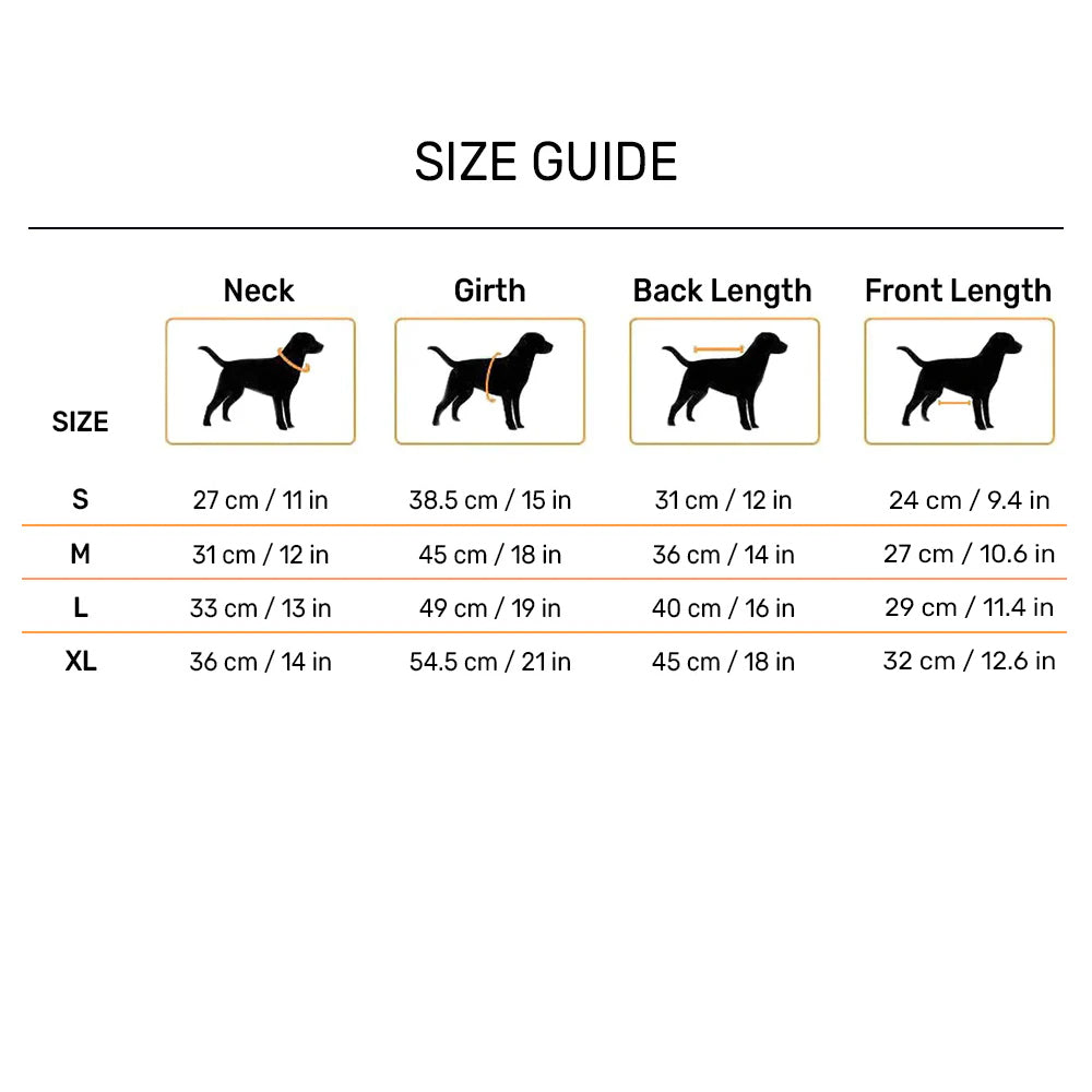 HUFT Sunny Bear Sweatshirt For Small Dog - Green - Heads Up For Tails