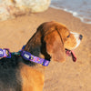 Dash Dog Pixel Padded Collar For Dog - Purple - Heads Up For Tails