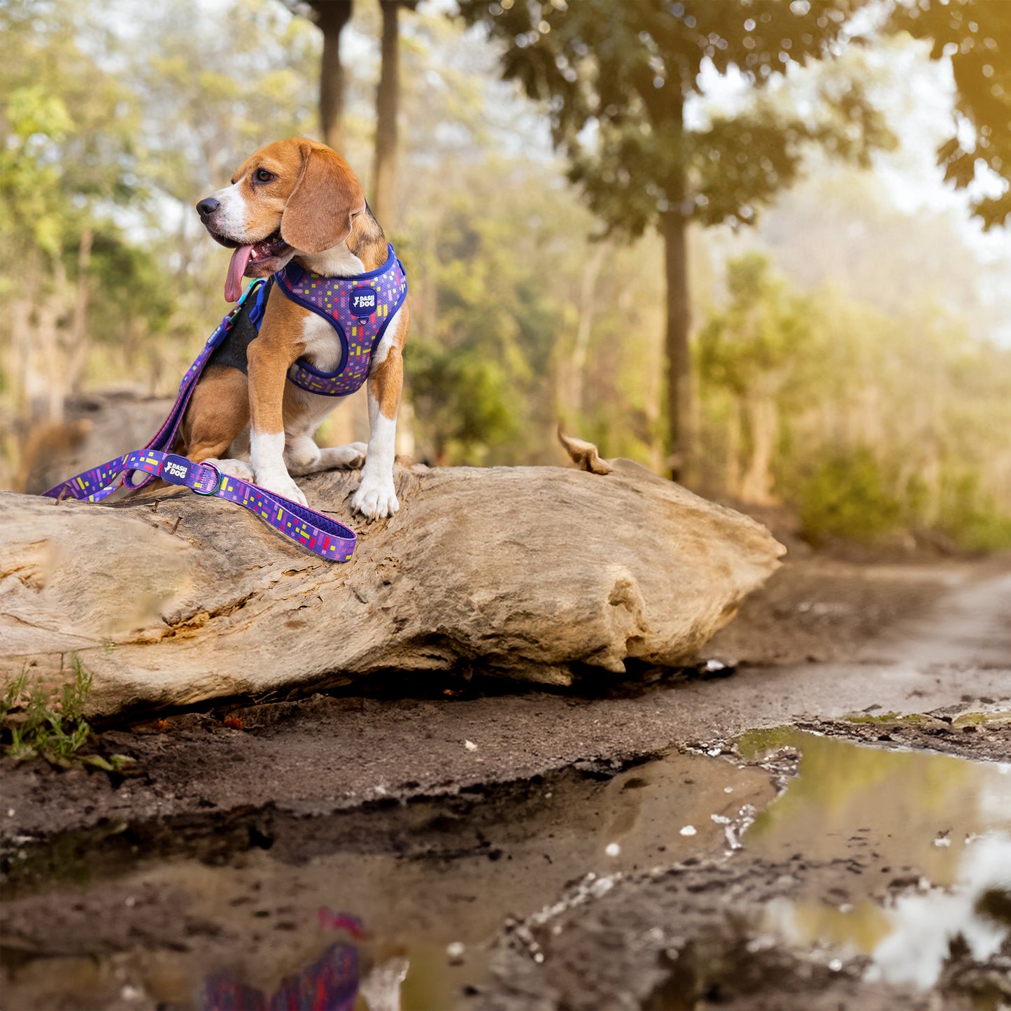Dash Dog Pixel Easy Walk Harness For Dog - Purple - Heads Up For Tails