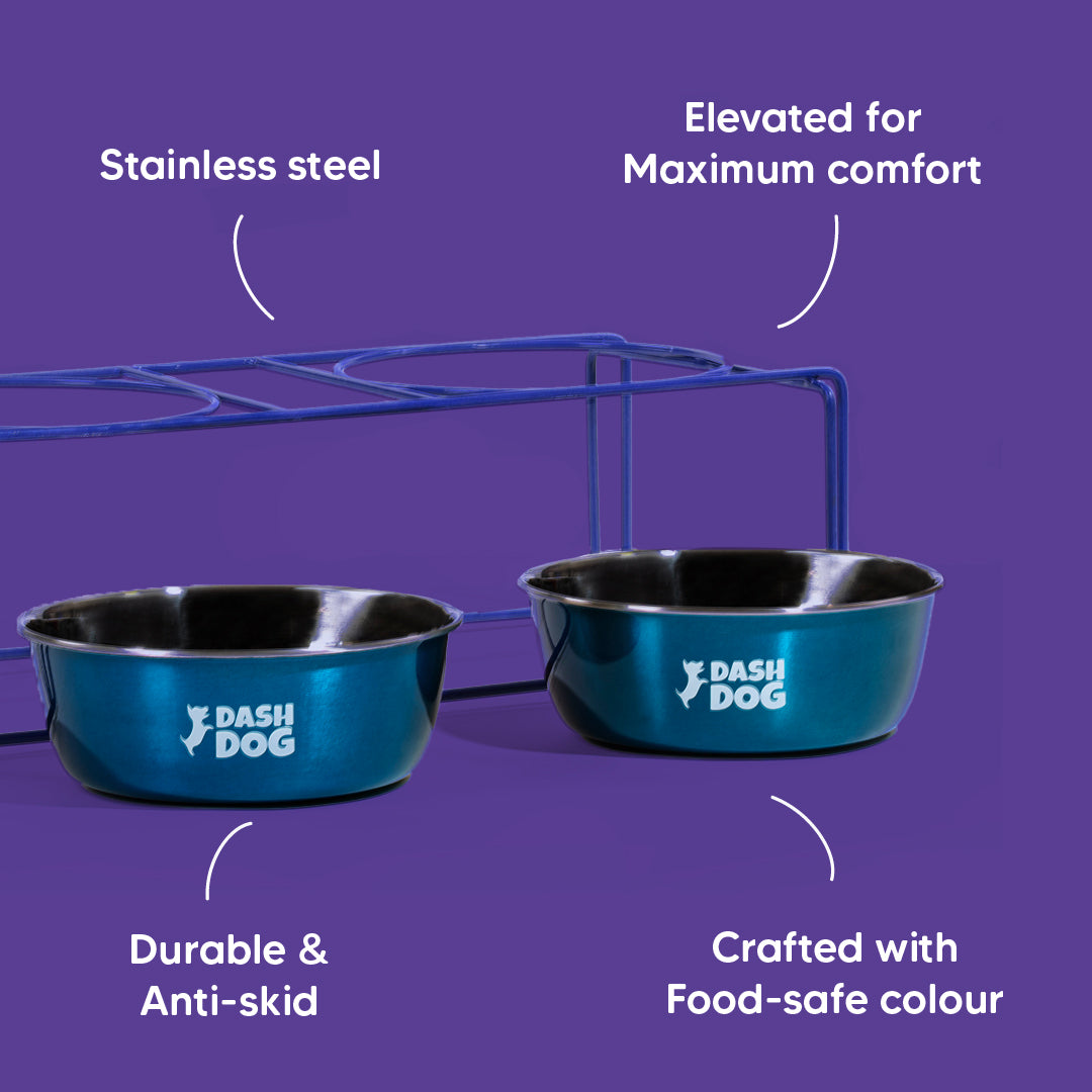 Dash Dog Rainbow Rush Elevated Double Diner With Steel Bowl Inserts For Dog - Violet - Heads Up For Tails