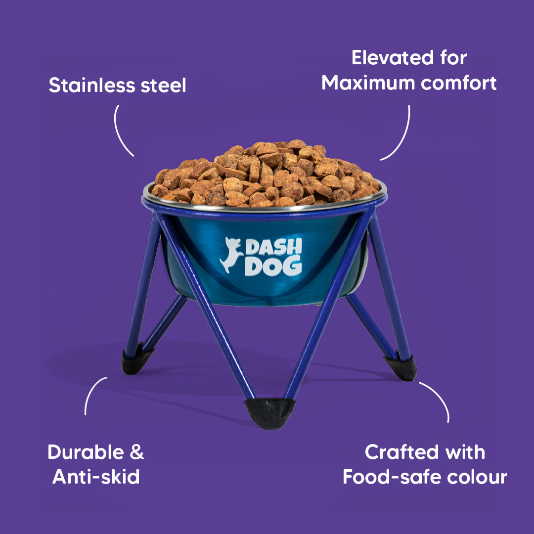 Dash Dog Rainbow Rush Elevated Single Diner With Steel Bowl Inserts For Dog - Violet - Heads Up For Tails