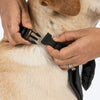 HUFT Casino Royale Tuxedo Bandana For Dog - Black - Heads Up For Tails