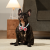 HUFT Pawsome Blossom Bow Tie With Collar For Dog - Green & Pink - Heads Up For Tails