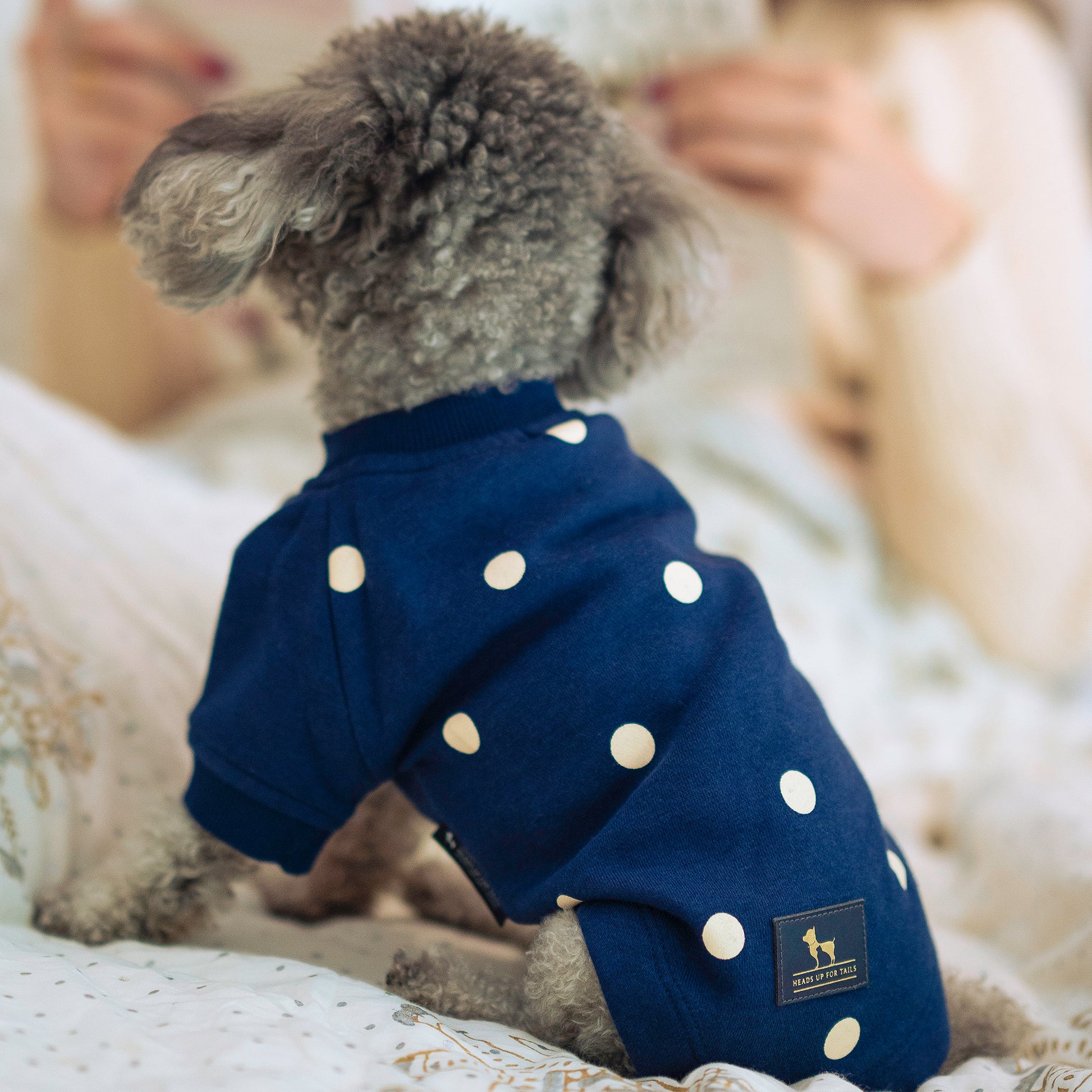 HUFT Polka Dot Sweatshirt For Pets - Navy - Heads Up For Tails