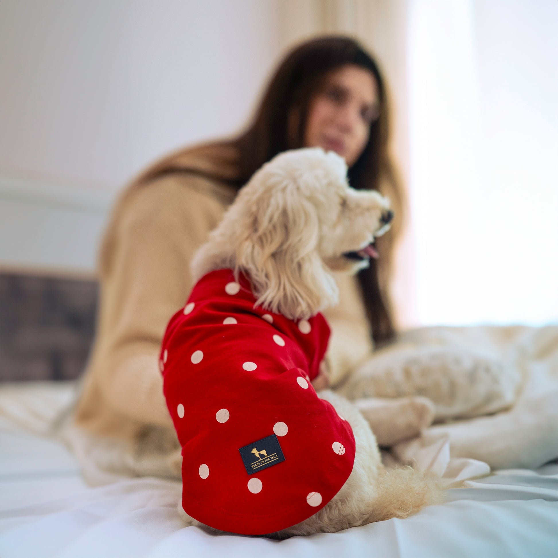 HUFT Polka Dot Sweatshirt For Pets - Red - Heads Up For Tails