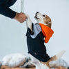 HUFT Colour Block Hoodie Sweatshirt For Pets- Black - Heads Up For Tails