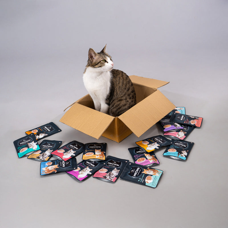 Meowsi by HUFT Skin & Coat Salmon & Chicken Mousse Cat Wet Food, 70 gm, with vitamins and minerals, grain-free.