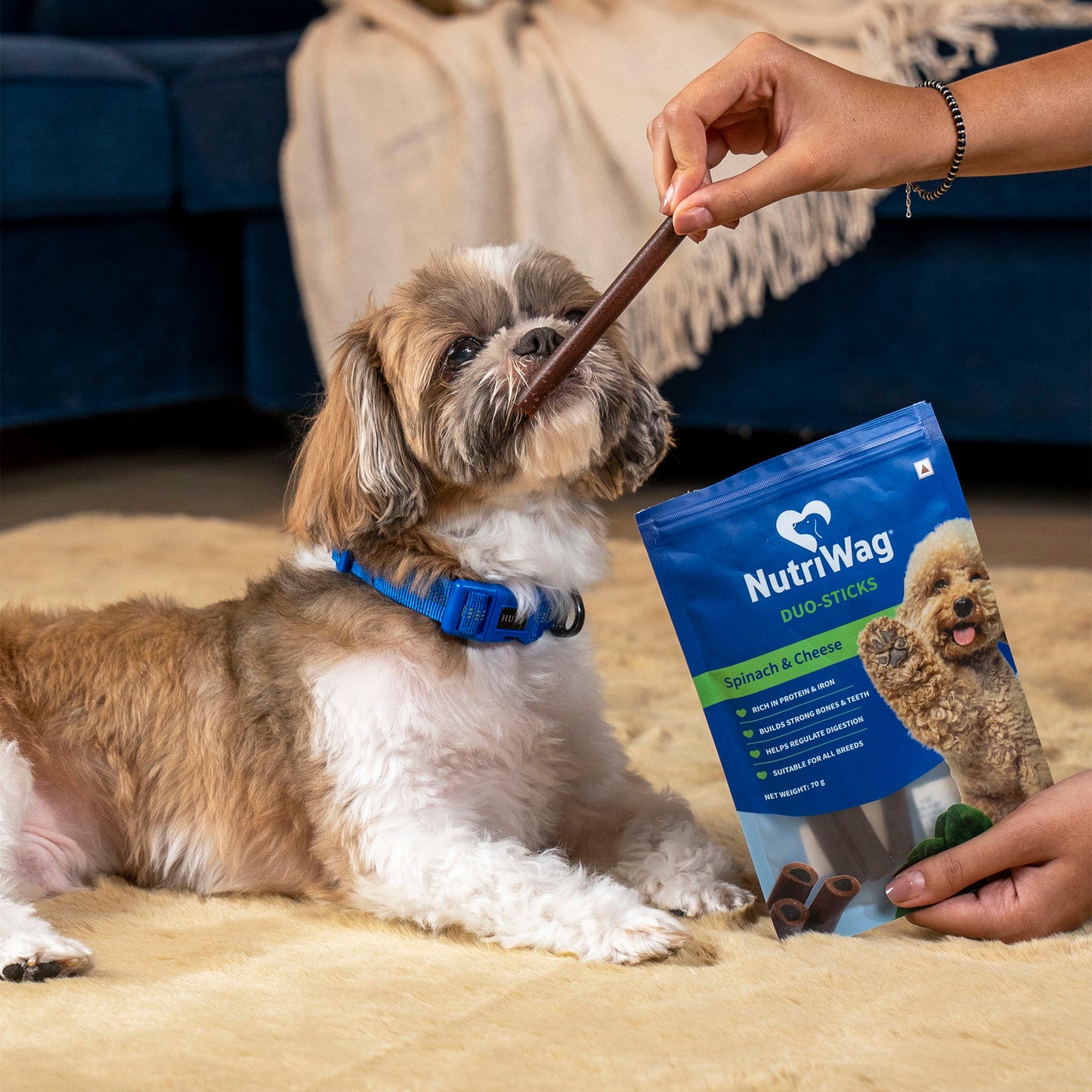 NutriWag Spinach & Cheese Duo Sticks Treats For Dog - 70 gm - Heads Up For Tails