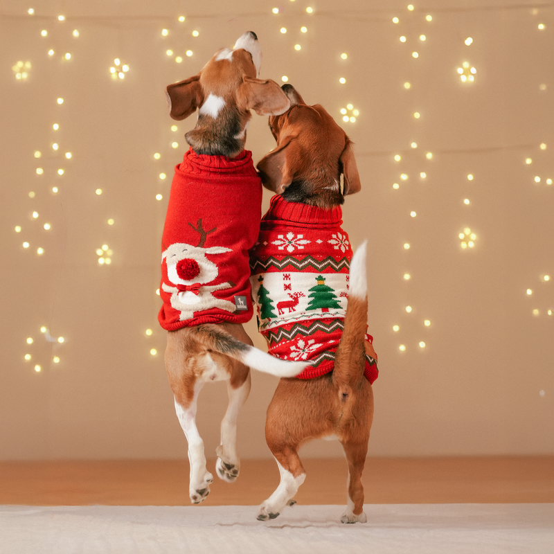 HUFT Jolly Jumper Sweater For Cat - Red - Heads Up For Tails