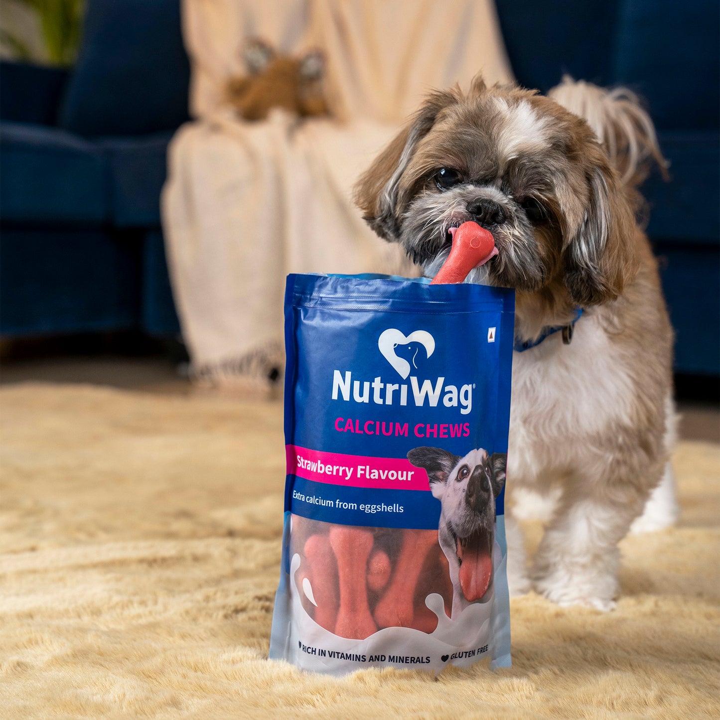 NutriWag Strawberry Calcium Chew Bones Treats For Dog - Heads Up For Tails