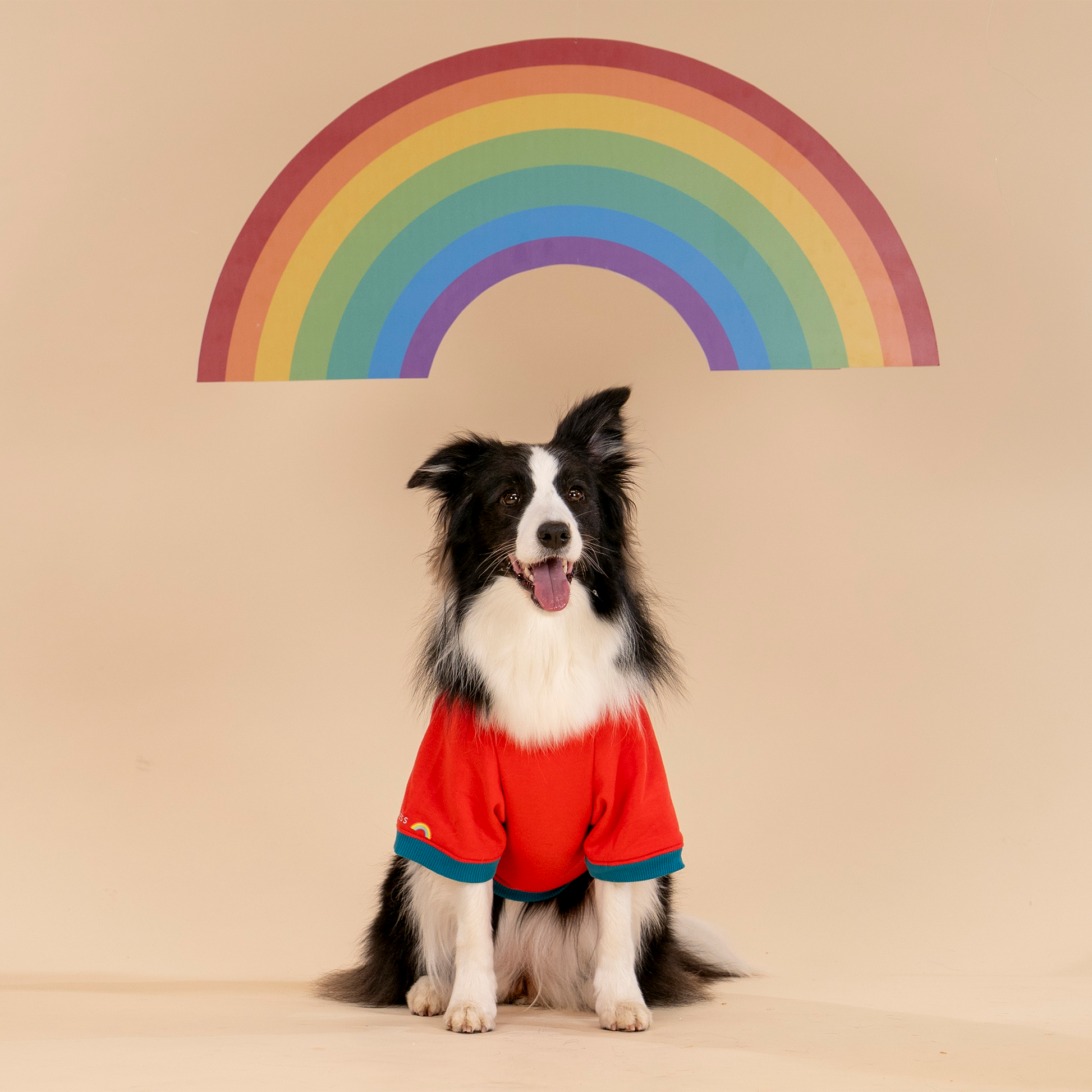 HUFT Woof Squad Sweatshirt For Dog - Red - Heads Up For Tails