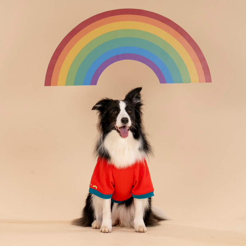 HUFT Woof Squad Sweatshirt For Dog - Red - Heads Up For Tails