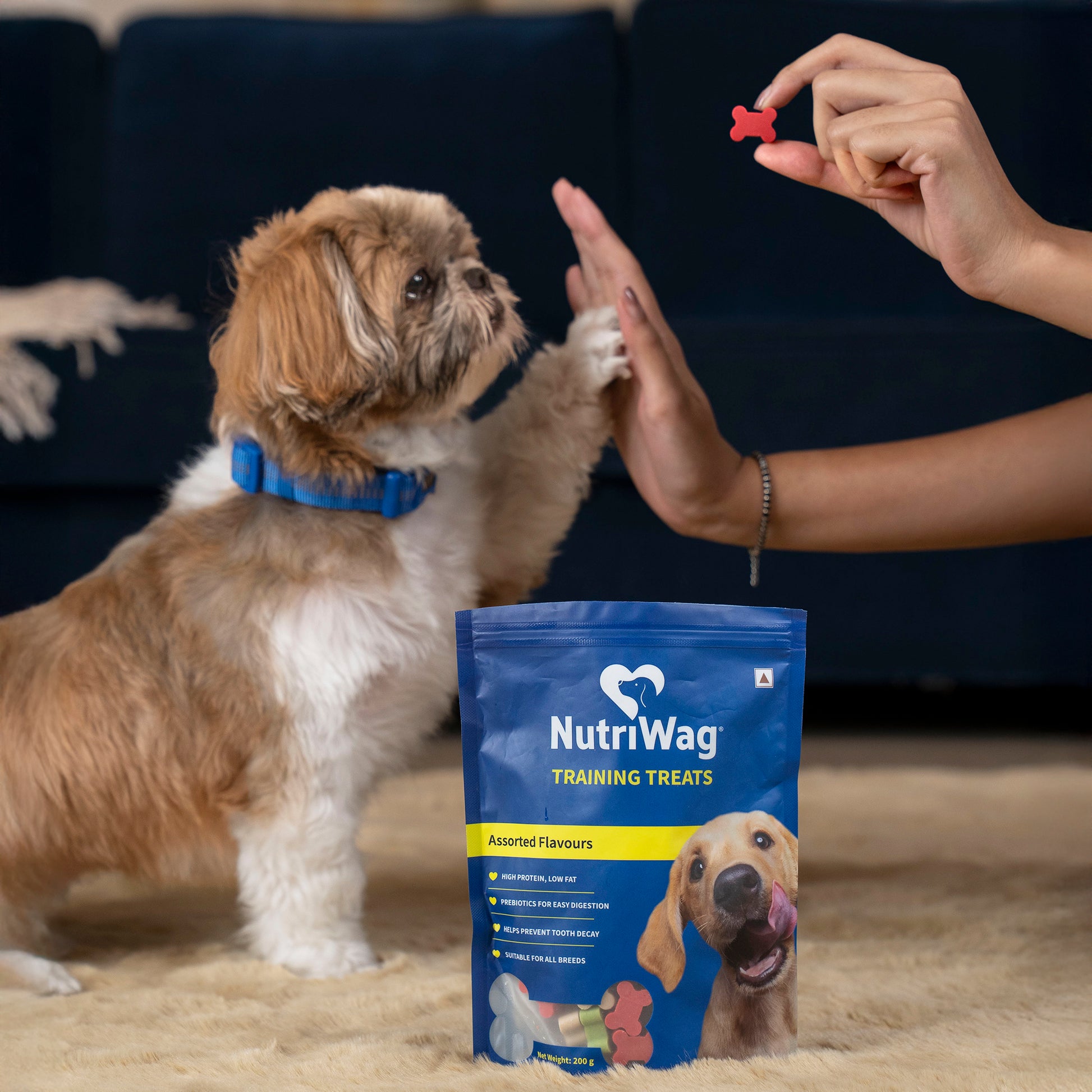 NutriWag Assorted Training Bites Treats For Dog - 200 gm - Heads Up For Tails