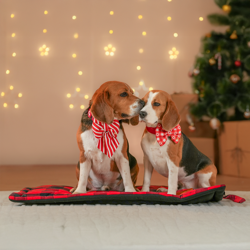 HUFT Merry Stripes Bow Tie for Dog - Red & White - Heads Up For Tails