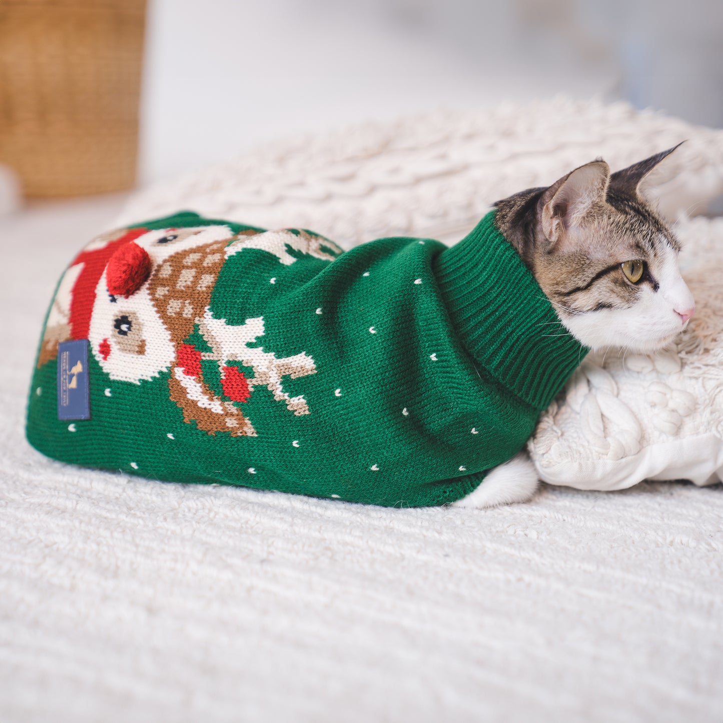 HUFT My Li'l Rudolph Sweater For Cat - Green_02