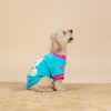 HUFT Happy Teddy Sweatshirt For Small Dog - Turquoise Blue - Heads Up For Tails