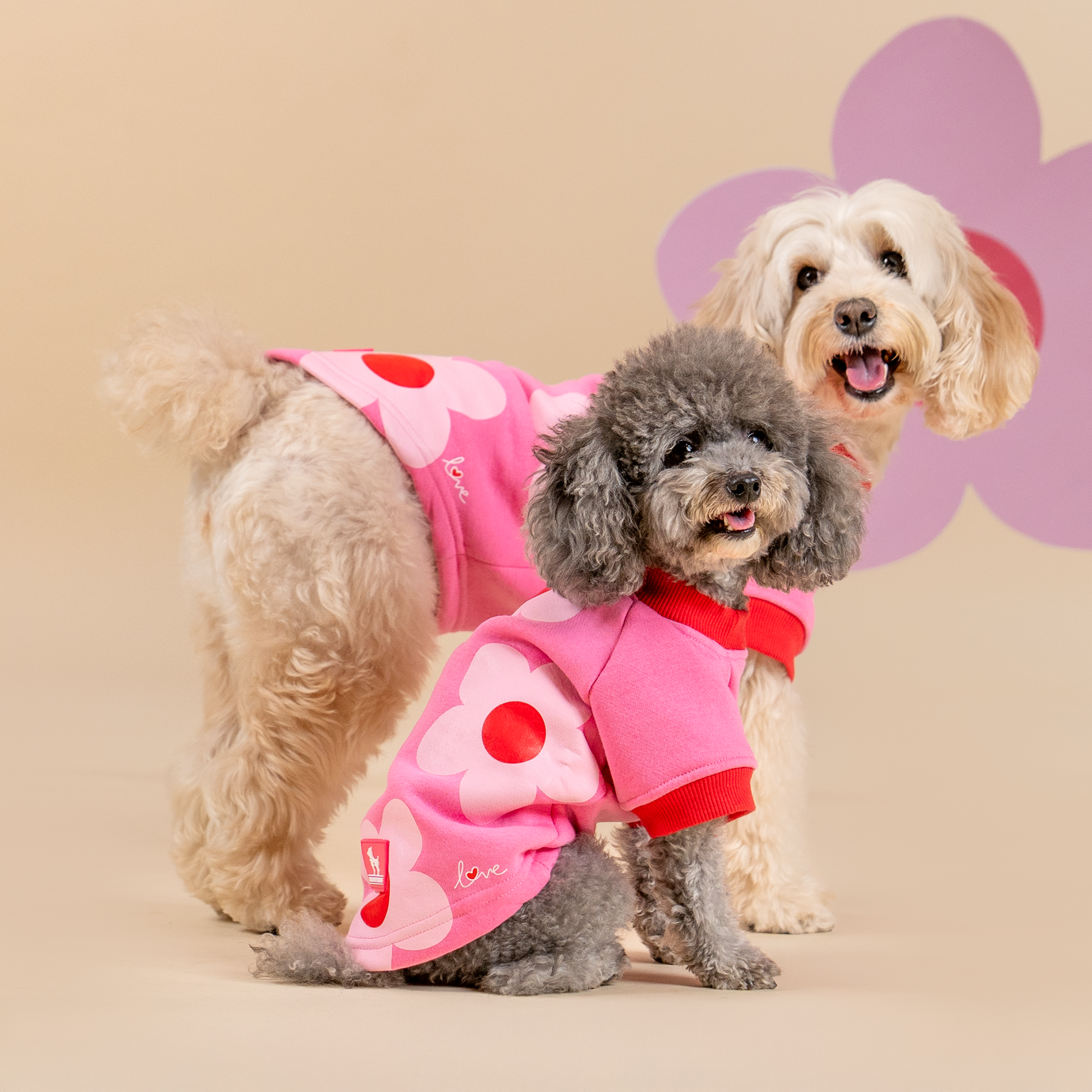 HUFT Flower Power Sweatshirt For Dog - Pink - Heads Up For Tails