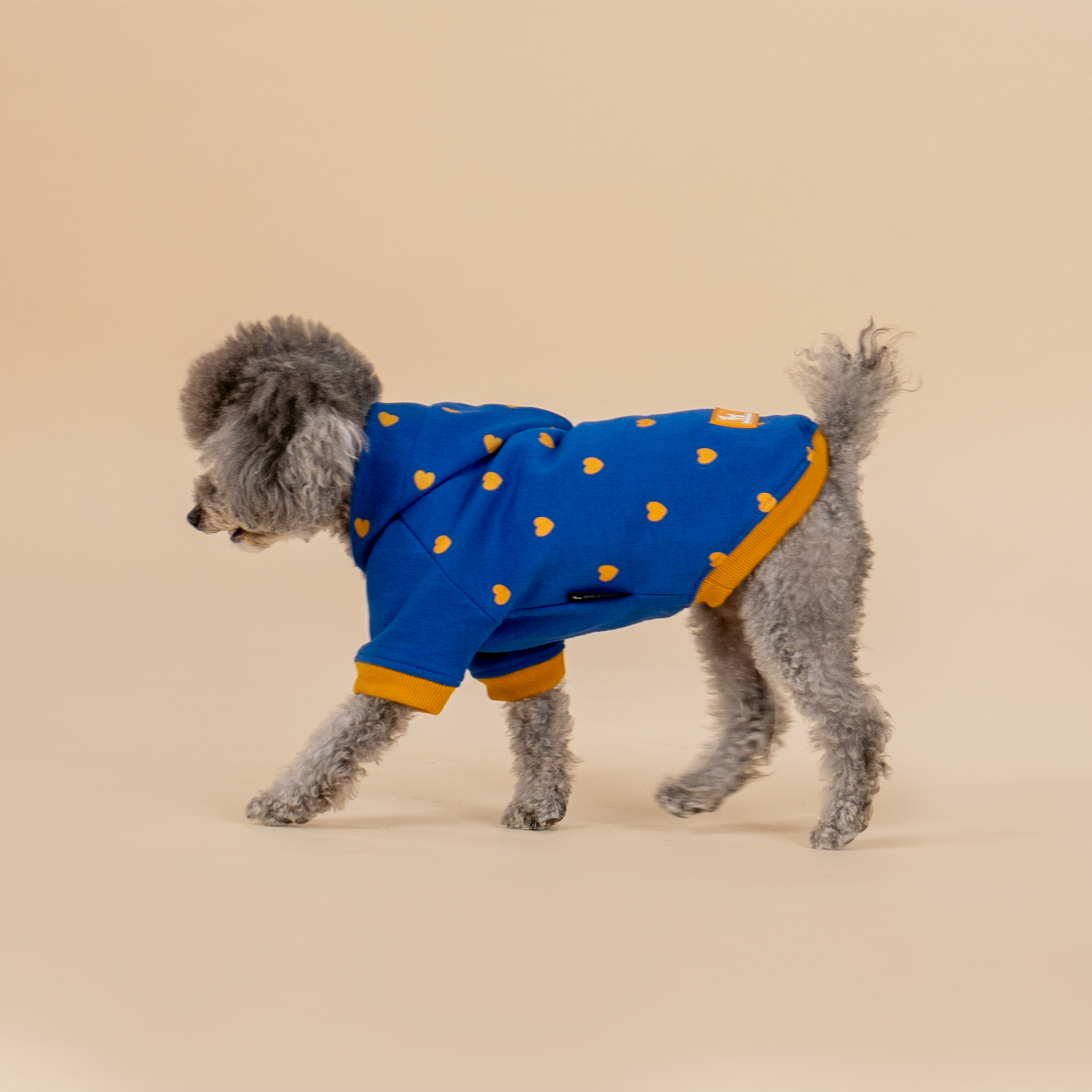 HUFT Honey Hearts Sweatshirt With Hood For Dog - Blue - Heads Up For Tails