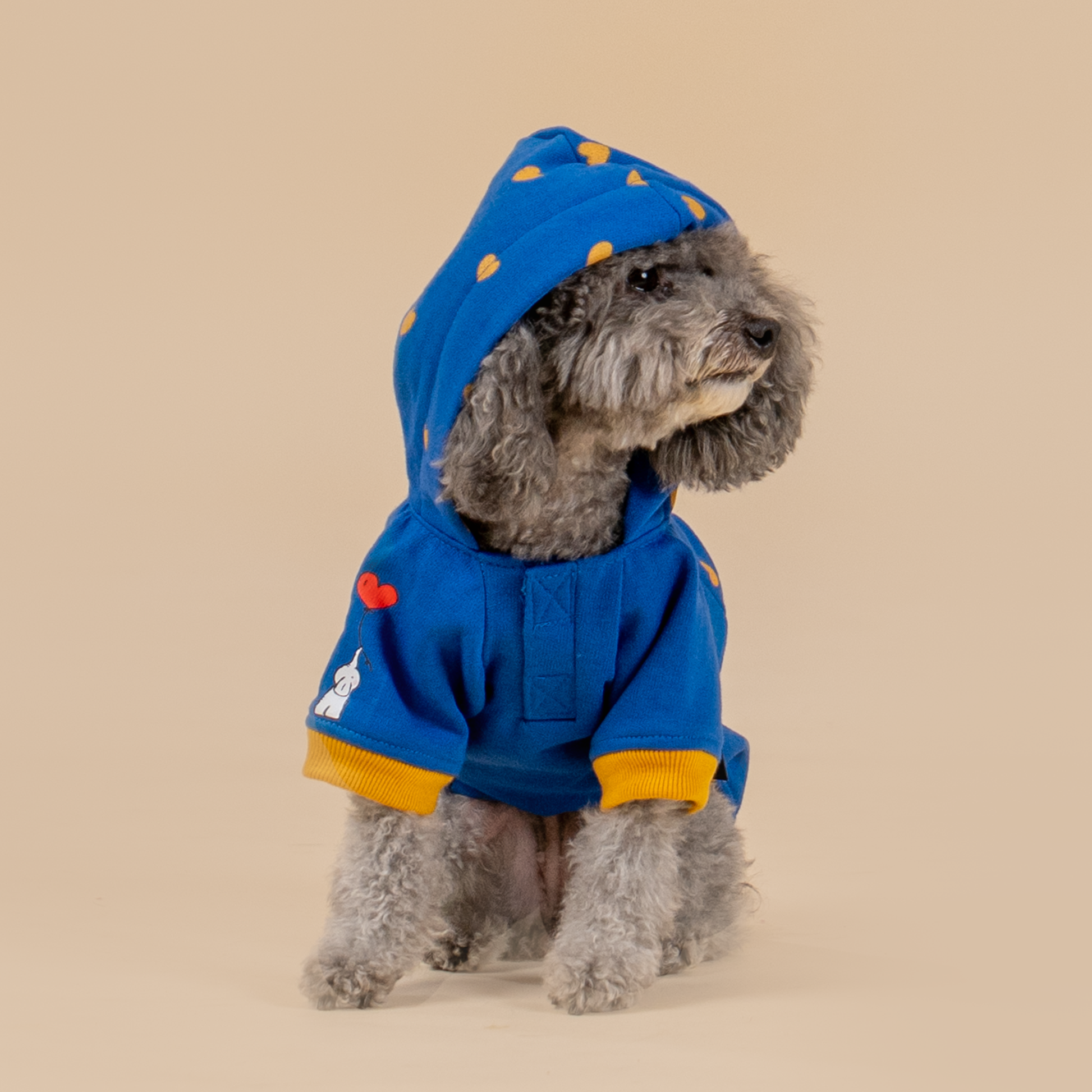 HUFT Honey Hearts Sweatshirt With Hood For Dog - Blue - Heads Up For Tails
