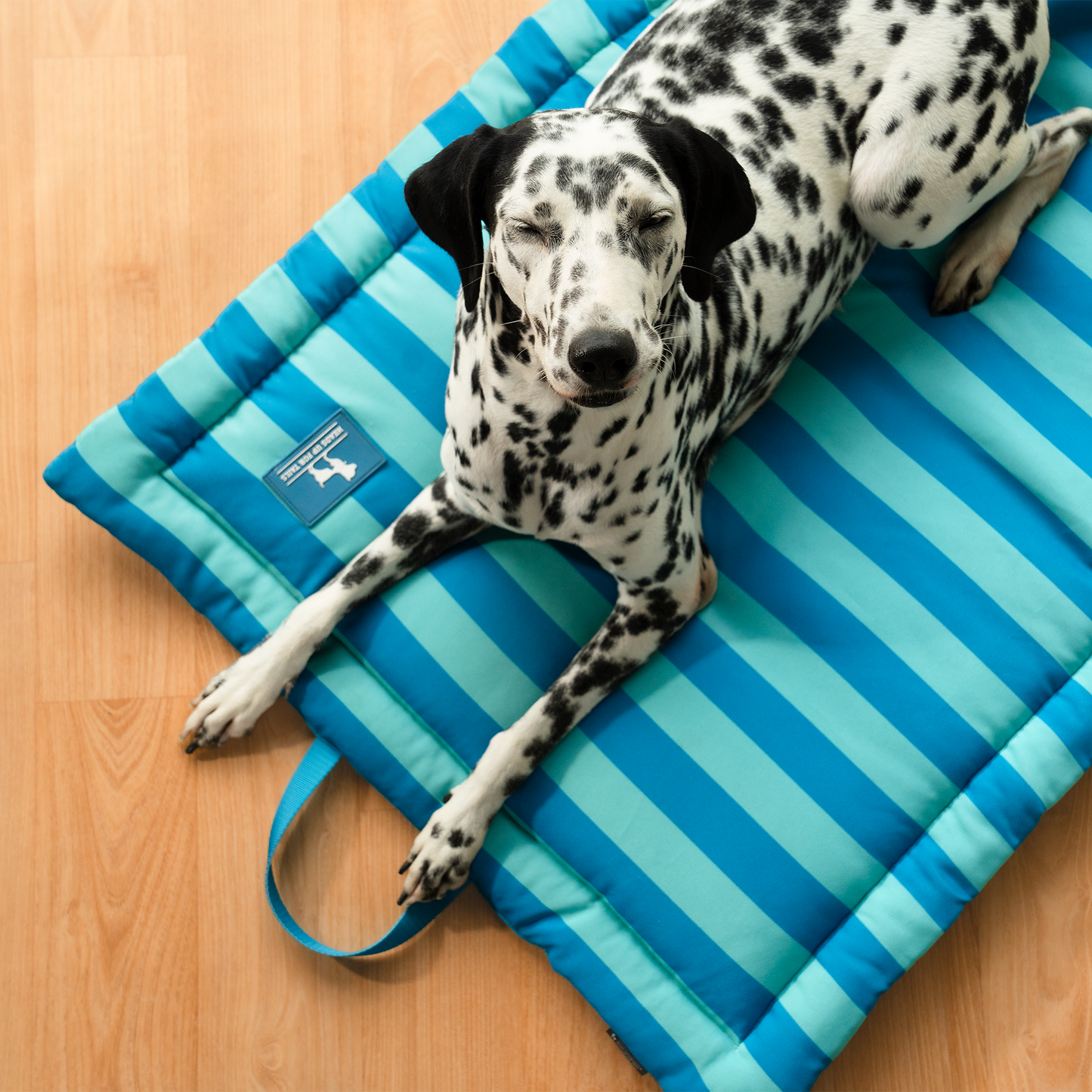 HUFT Happy Stripes Mat For Dog - Blue & Turquoise - Heads Up For Tails