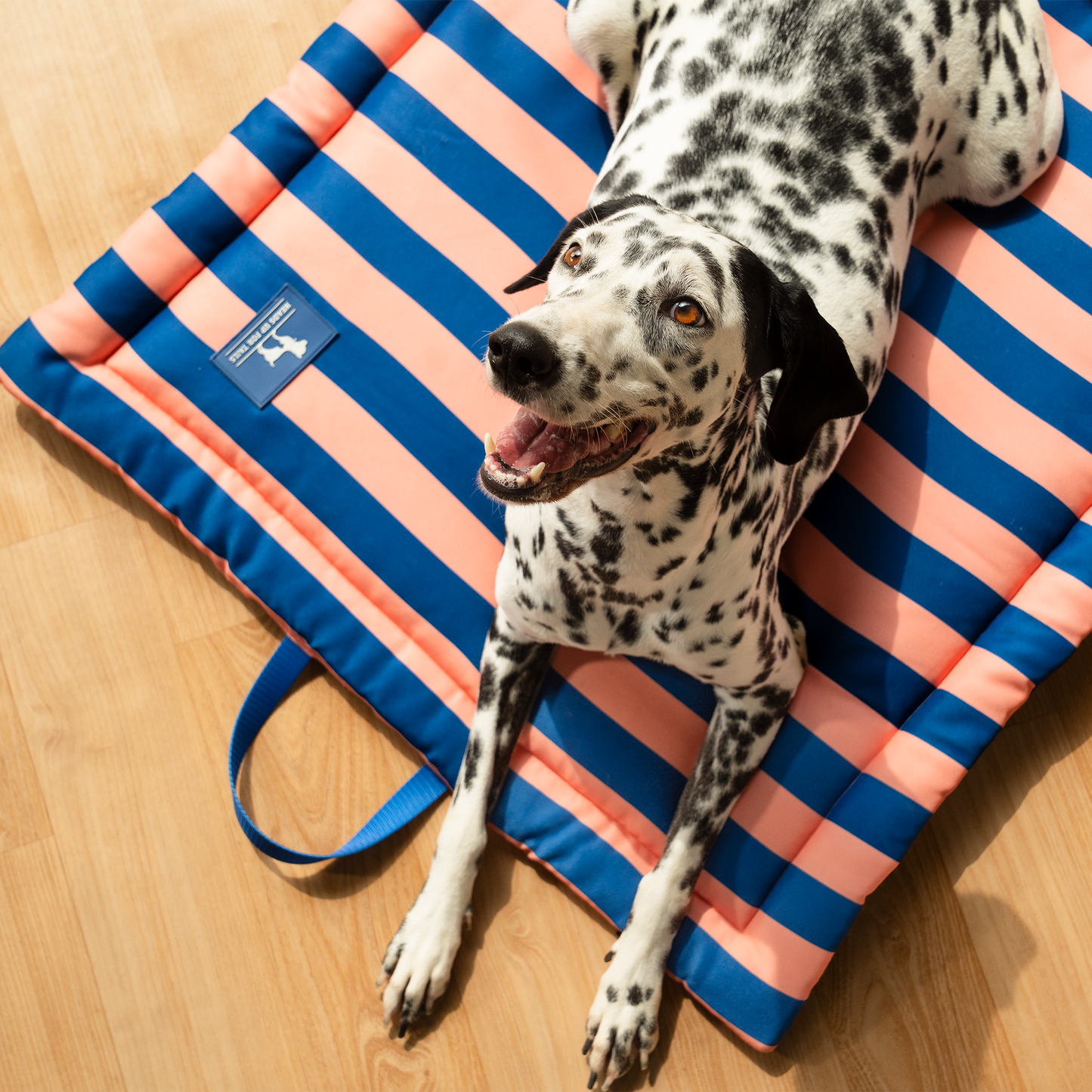 HUFT Happy Stripes Mat For Dog - Navy & Peach - Heads Up For Tails