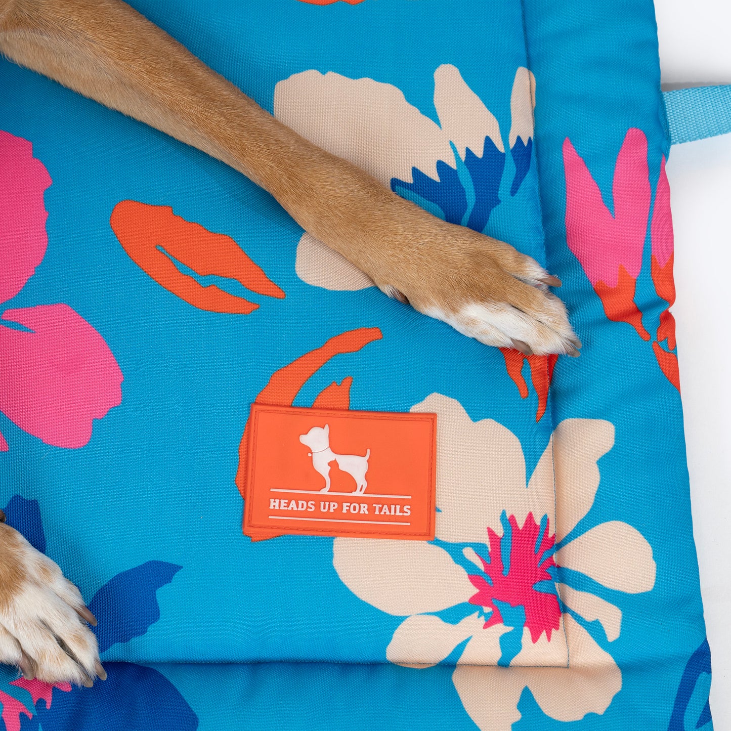 HUFT Summer Bloom Mat For Dog - Blue - Heads Up For Tails