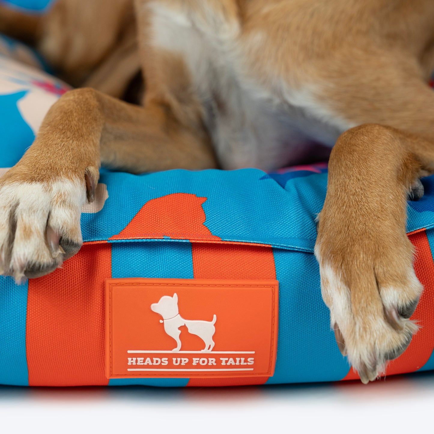 HUFT Summer Bloom Lounger Bed For Dog - Blue - Heads Up For Tails